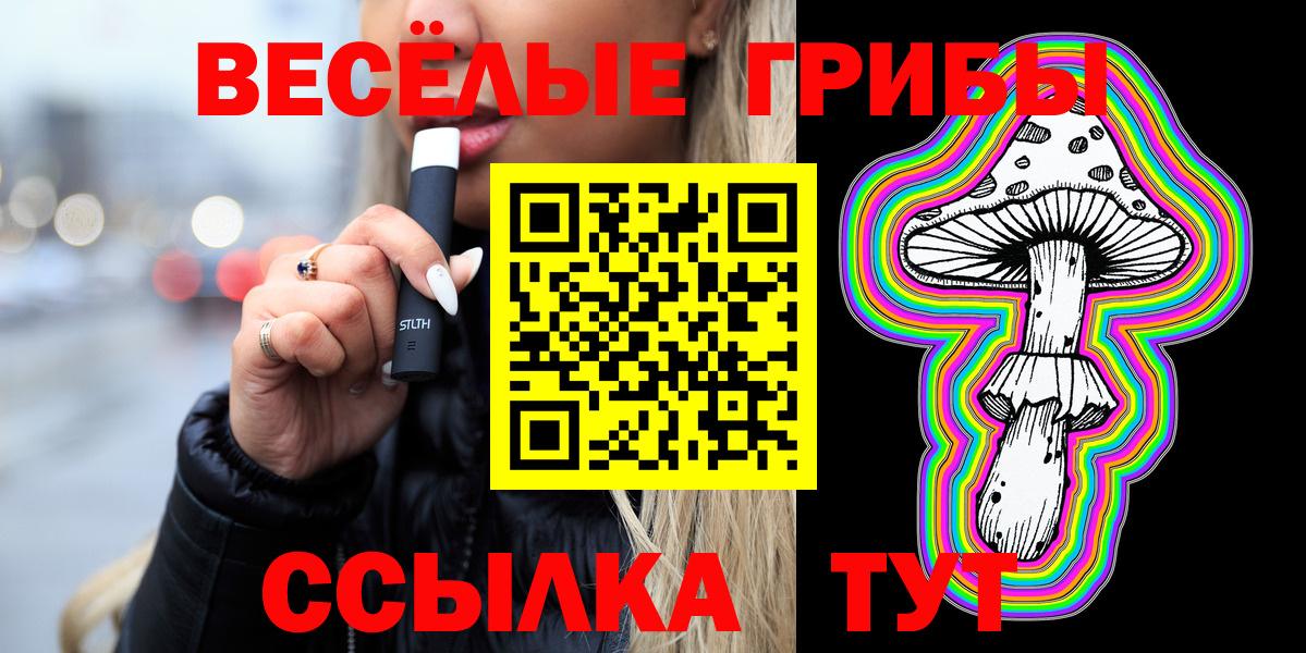 Фролово  Галлюциногенные грибы Cubensis  Вход с VPN 