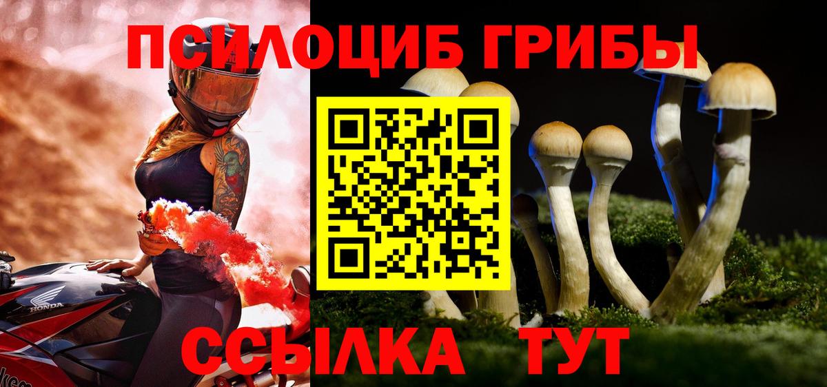 Галлюциногенные грибы Cubensis Фролово
